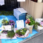 第4回 季節の野菜市開催 第4回 季節の野菜市開催