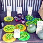 第4回　季節の野菜市開催