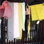 第4回 季節の野菜市開催 第4回 季節の野菜市開催