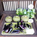 第5回 季節の野菜市開催 第5回 季節の野菜市開催