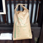 第5回 季節の野菜市開催 第5回 季節の野菜市開催