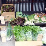 第6回　季節の野菜市開催