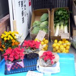 第6回 季節の野菜市開催 第6回 季節の野菜市開催