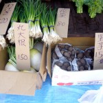 第10回季節の野菜市-3