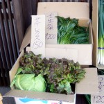 第10回季節の野菜市-4