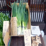 第11回 季節の野菜市開催-3