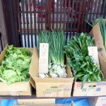 第11回　季節の野菜市開催-1