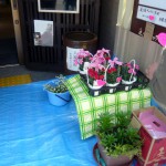 第12回　季節の野菜市開催-4