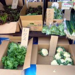 第12回　季節の野菜市開催-2