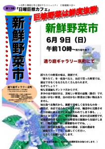 野菜市6月予告広告