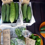 第16回　野菜販売のお知らせ 9月8日-1