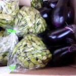 第16回　野菜販売のお知らせ 9月8日-4