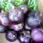 第16回　野菜販売のお知らせ 9月8日-2