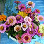 第16回　野菜販売のお知らせ 9月8日-3