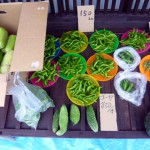 第16回　野菜市2013.9.8-3