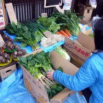 野菜市2014-2-2jpg