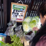 野菜市2014-2