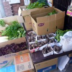 第20回　野菜販売のお知らせ